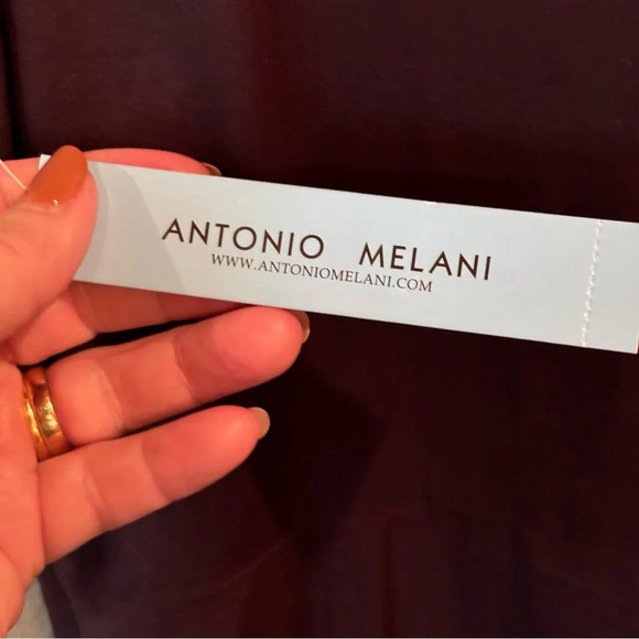 NWT Antonio Melani Havana Nights Dress in Espresso, size 4, Embroidered Beaded - Picture 6 of 13